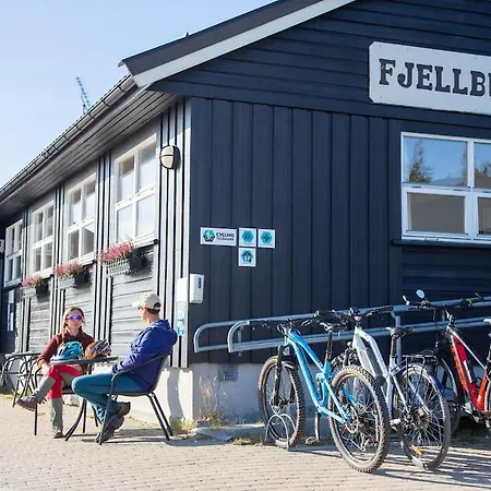Lodger Lifjelltunet