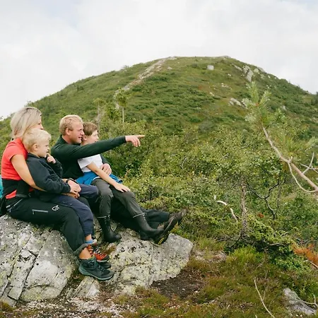 Lifjelltunet Lodger