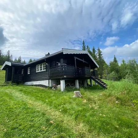 Lodger Lifjelltunet