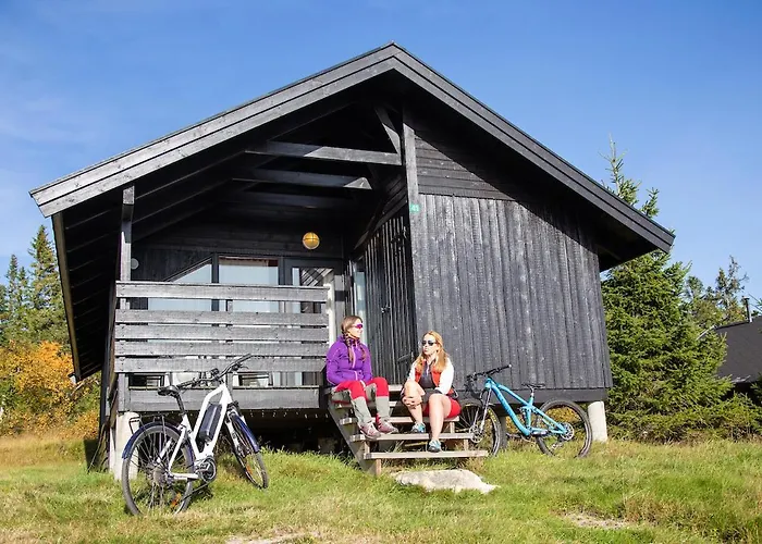 Lifjell-tunet Orman Evi Lifjell