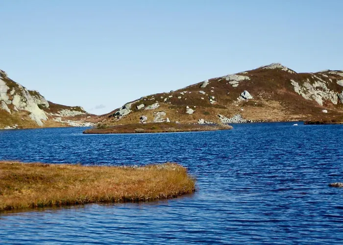 Lifjelltunet *