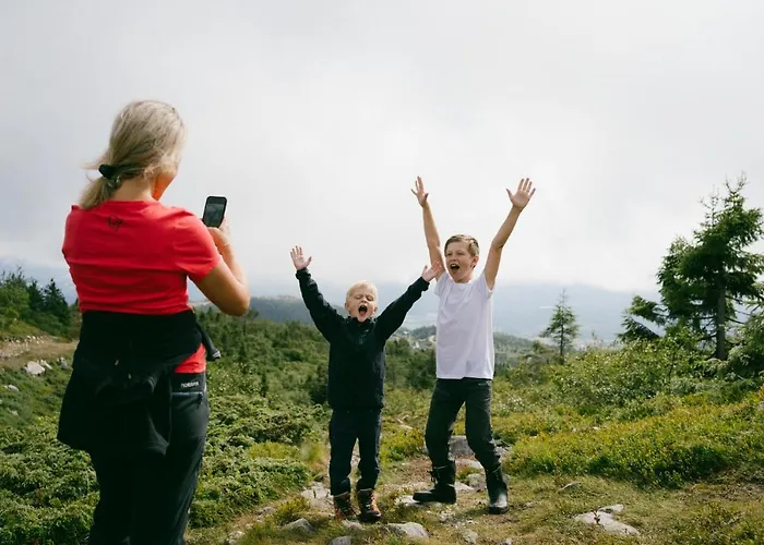 Lifjell-tunet * Lifjell