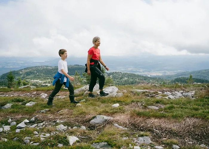 Orman Evi Lifjell-tunet Lifjell