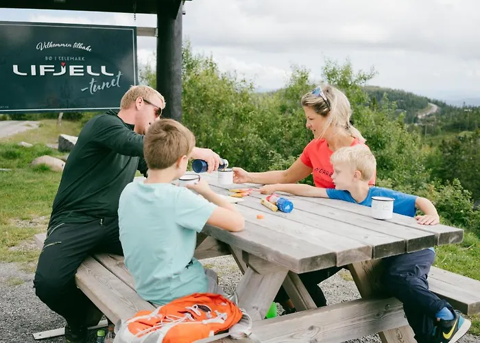 Lodger Lifjelltunet Lifjell