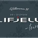אכסניה Lifjelltunet