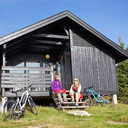 Lifjelltunet Jaktstuga Lifjell