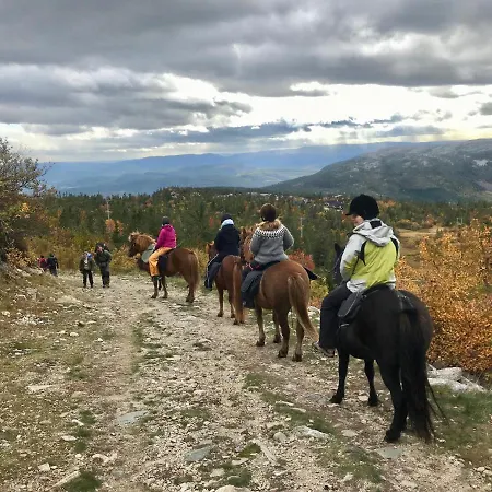 Jaktstuga Lifjelltunet *