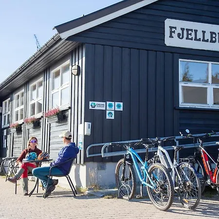 بيت خشبي Lifjelltunet