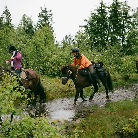 Lifjelltunet Jaktstuga
