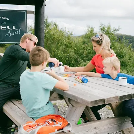 Jaktstuga Lifjelltunet Lifjell